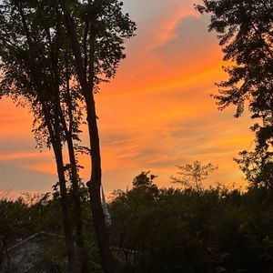 Meet your Posher, Eden